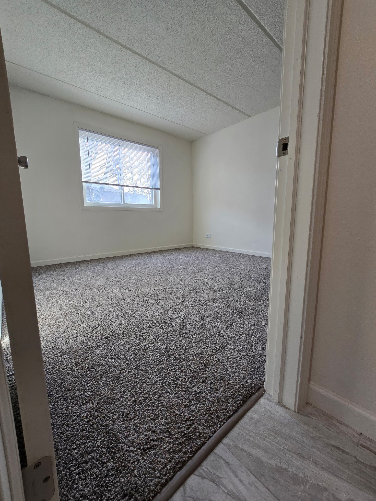 A room with a carpeted floor and a window.